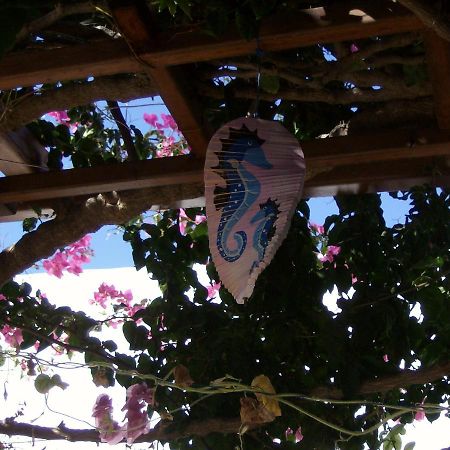 Hippocampus Studios Antiparos Town Exterior foto