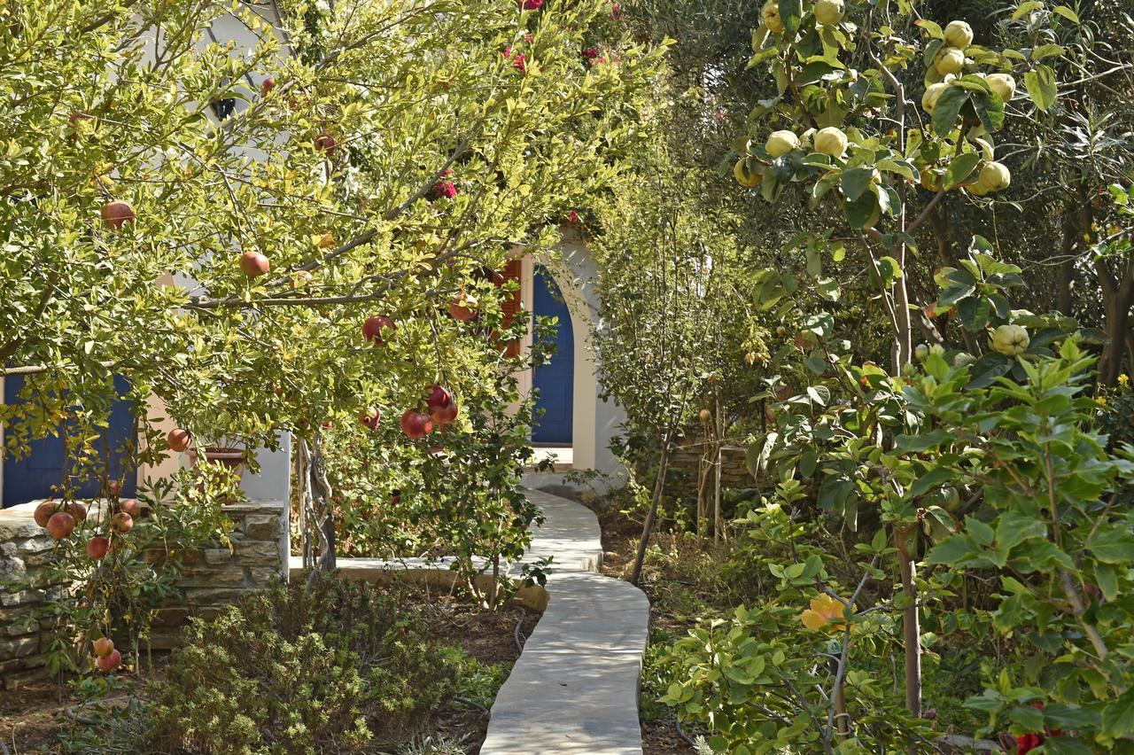 Hippocampus Studios Antiparos Town Exterior foto