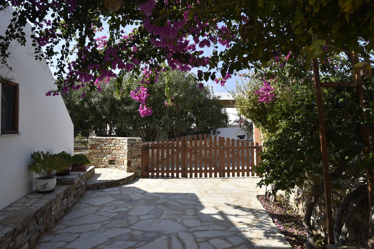 Hippocampus Studios Antiparos Town Exterior foto